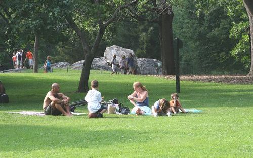 NEW YORK â€“ Central Park is met z’n ruim 320 hectaren veruit het grootste park van New York. Het biedt miljoenen personen jaarlijks een uitgelezen plek voor inspanningen zoals joggen of fietsen en is daarnaast vooral in zomerse weekeinden zeer geliefd vo