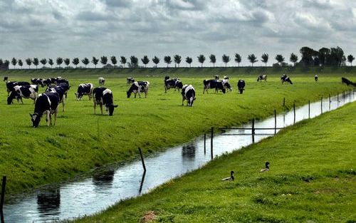 „In grote delen van Gelderland en Overijssel vinden we kleinschalige landschappen met een diversiteit aan functies. Die gebieden zijn mooi, en dat willen we zo houden. Maar de landbouw zÃ³rgt er nu juist voor dat gebieden zo mooi zijn.”