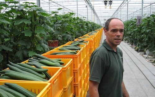 SPRANG-CAPELLE â€“ Komkommerkweker Jan Meijs levert per jaar ruim 8 miljoen komkommers bij de veiling af. Zijn bedrijf in Sprang Capelle kreeg de mogelijkheid te groeien. Tientallen andere glastuinbouwbedrijven in Noord Brabant kunnen geen kant meer op. F