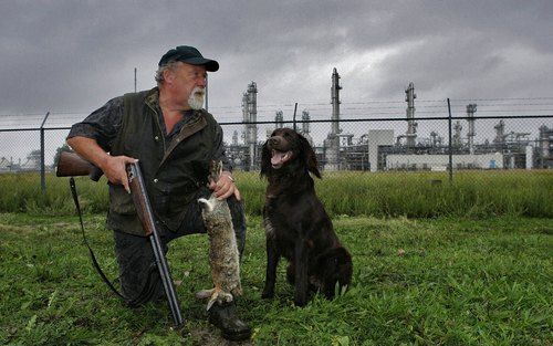 ROTTERDAM â€“ Jagermeester Cees Noorlander houdt de uitgebreide wildstand in het Rotterdamse havengebied onder controle. „Als een vos een hol heeft gemaakt in een spoordijk, krijg je problemen als daar een chloortrein overheen raast.” Foto ANP