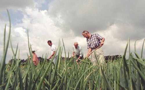 BRUSSEL â€“ Senegalese boeren zijn niet blij met de invoer van goedkope uien uit Europese landen, waaronder Nederland. Om de nationale uienkwekers te beschermen organiseert de Senegalese Autoriteit voor Marktregulering in samenwerking met de distributeurs