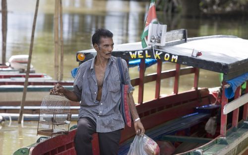 PARAMARIBO â€“ Een veerboot komt aan bij de voormalige plantage Laarwijk, die opgenomen is in de toeristische excursies die Suriname biedt. Net als veel landgenoten neemt deze man zijn zangvogel dagelijks mee op pad om het beestje minder schuw te maken, w