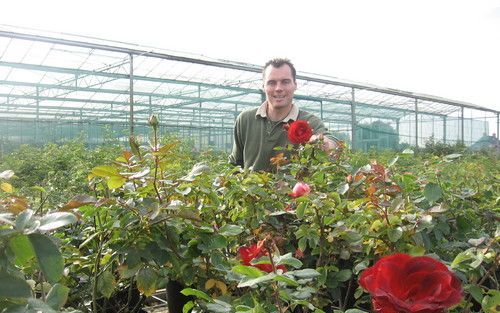 ZUTPHEN â€“ Volgens Steven van Dalen van rozenkwekerij De Wilde in Zutphen is het najaar de beste periode om rozen te planten. „Er zit dan nog warmte in de grond, goed voor het wortelstelsel.” Foto RD.