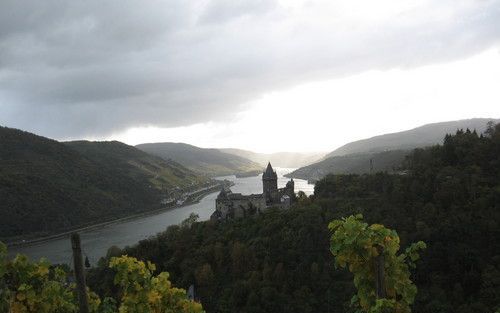 Tussen Bingen en Koblenz slingert de Rijn zich door met wijngaarden en bossen bedekte heuvels. Langs de oevers zijn tientallen eeuwenoude burchten te bewonderen. Foto RD