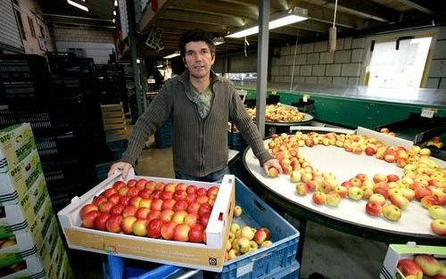 ZEELAND – Harrie van den Elzen is een fruitteler met passie. Woensdagmiddag wordt op zijn bedrijf het appelras evita gelanceerd. De topappel evita wordt geteeld door leden van de twee jaar geleden opgerichte coöperatie ”Pure and Tasty”. Naast santana en e