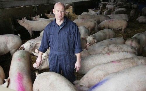 ODILIAPEEL – Varkenshouder W. Zwanenburg pleit voor een Europees verbod op het onverdoofd castreren van varkens. „Dat is het enige alternatief.” Als Nederland de ingreep als enige verbiedt, kan hij het vlees van zijn varkens niet meer verkopen aan Duitsla