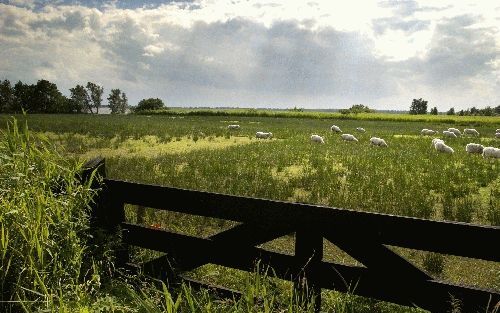 BELT-SCHUTSLOOT - Boeren hebben op termijn weinig meer te zoeken in het moerasland van de Wieden. Via de Stichting Agrarisch Natuurbeheer Noordwest-Overijssel proberen agrariÃ«rs de klussen die er naast het boerenwerk zijn, onderling te verdelen. - Foto D