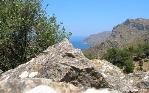 De oude pelgrimsweg op het Spaanse eiland Mallorca van het noordoostelijke Arta naar het kapelletje van Betlem Hermitage voert dwars door ongerepte natuur. Foto RD.