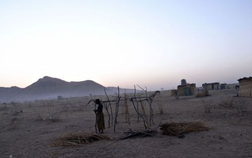 GOZ BEIDA – Tsjadische vluchtelingen bouwen van droge takken en gras tijdelijke onderkomens. Overdag zoeken ze verkoeling onder een boom. ’s Nachts daalt de temperatuur gemakkelijk tot 11 graden onder nul. Foto Thomas Dworzak, Magnum Photos