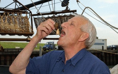 YERSEKE - Vers uit de Oosterschelde. Dinsdag werden in Yerseke de eerste mosselen van het seizoen geveild. - Foto Wim van Vossen