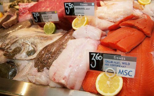 AMSTERDAM – Wie een van de vier vestigingen van viswinkelketen Fishes binnenstapt, vindt daar sinds mkaandag het blauwe logo van de Marine Stewardship Council (MSC). Als eerste viswinkelketen op het Europese vasteland mag Fishes dit duurzaamheidscertifica