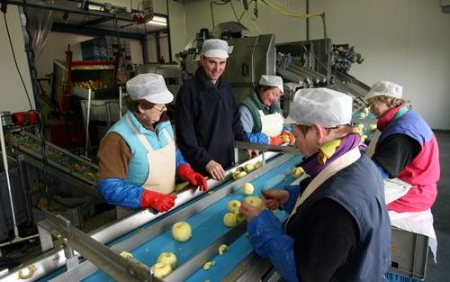 OBDAM – Medewerkers van het Appelhuis in Obdam verwerken per week zo’n 20.000 tot 30.000 kilo appels, anderhalf tot twee vrachtwagens vol. „Het fruit halen we zelf op bij telers en bij een sorteerbedrijf: jonagold, elstar, goudrenet en granny smith”, zegt