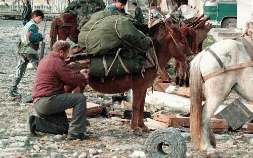 TIRANA - Een Albanees laadt gestolen wapentuig op een ezel. - Foto EPA