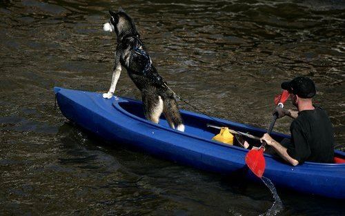 AMSTERDAM - Zaterdag genoten veel mensen van het warme voorjaarsweer, zoals hier door mens en dier op de grachten in Amsterdam. Foto: ANP