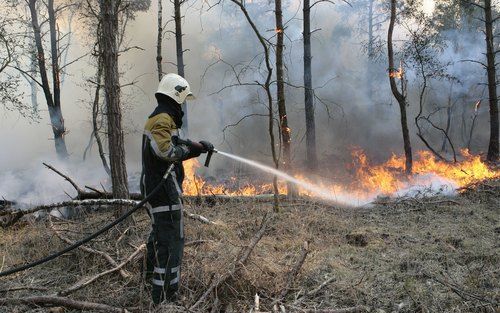 NETERSEL - Op de Neterselse Heide in de Kempen (Brabant) woedde donderdagmiddag een grote brand. Foto ANP