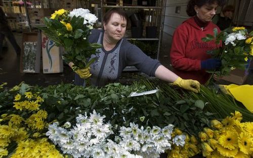 DEN HAAG - Polen aan het werk bij de bloemenveiling in Aalsmeer. Steeds meer Polen starten in Nederland een eigen onderneming. Foto ANP