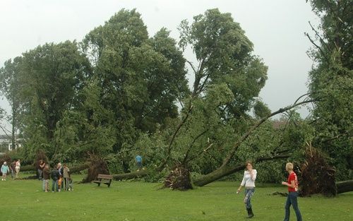 HOOGEVEEN - Kort, zeer hevig noodweer heeft voor een enorme ravage gezorgd in Hoogeveen. Slagregens, hagelstenen zo groot als knikkers en hevige rukwinden trokken een spoor van vernieling door de binnenstad. Tennminste een persoon is gewond geraakt. Tient