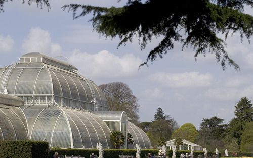 Een bezoek aan een botanische tuin in het buitenland is zeker de moeite waard. Heel bekend is Kew Garden in Londen. Foto Royal Botanic Gardens, Kew