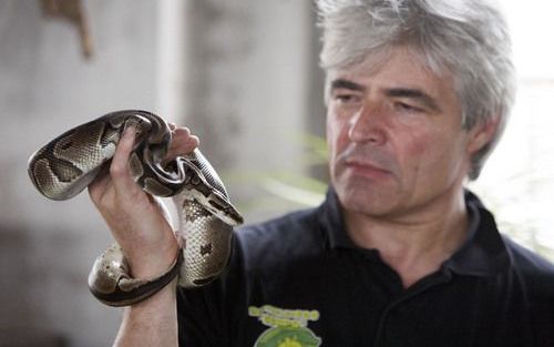 DELFT – Walter Getreuer, eigenaar van de Delftse reptielenzoo Serpo, houdt een gevonden koningspython omhoog. „Ik ben nog nooit gebeten door een giftige slang.” Foto Gerhard van Roon