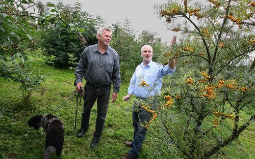 De Fries Oane Kloosterman (l.) van Frytsjam Natuurlijk maakt wijn, sap en jam van duindoornbessen. Hij levert de producten aan Duco Snouck Hurgronje (r.), die ze met het predicaat Waddendelicatessen verkoopt. De ingrediënten worden natuurvriendelijk getee