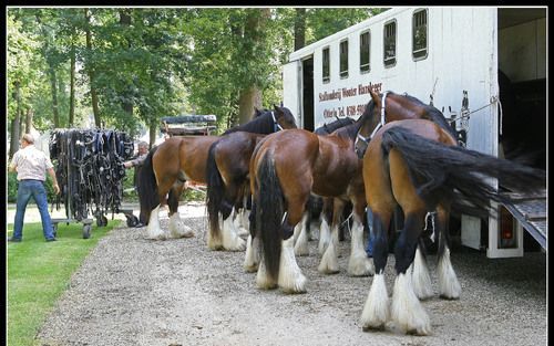 BARNEVELD – Hoogtepunt van de beurs Naar Buiten woensdag vormden de de monstraties met een postkoets en Engelse Shirepaarden. Foto's RD, Henk Visscher