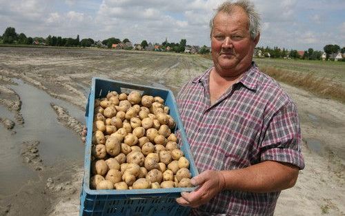 De Opperdoezer ronde wordt binnen een straal van 1 kilometer rond de hervormde kerk van Opperdoes verbouwd. „Het product heeft een stevige beet, is geel van kleur en smaakt vol en romig”, volgens tuinder Hero Stam. „De smaak van het aardappeltje doet dive