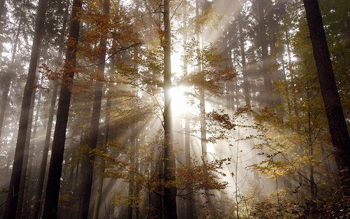 Augustinus staat in een traditie waarin Gods verhevenheid tot uitdrukking gebracht wordt zonder dat deze de nabijheid van God uitsluit. Hij brengt het zien van God in verbinding met de zuiverheid van het innerlijk: men moet God niet zoeken met de ogen, ma