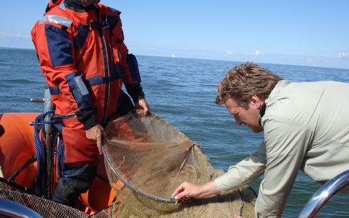 URK – Controleurs van de AID halen op het IJsselmeer een fuik binnen. Blijkt die illegaal, dan wordt het vistuig in beslag genomen. „Helaas kom je in dit werk zelden achter de dader”, aldus controleur Ros. Foto RD