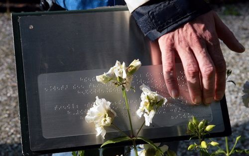 Een goede blindentuin heeft een geleiderail –een soort leuning– die blinden langs de planten voert en borden ter hoogte van de handen waarop in braille de naam van de plant en enige nadere informatie staan. Foto Martin Mooij