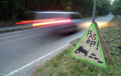 HEERDE – Een bord langs de kant van de weg in Heerde waarschuwt voor overstekende wilde zwijnen. De beesten zoeken massaal de graskanten van de Veluwse wegen op, omdat ze daaronder wormen en kevers kunnen vinden. Die bevatten dierlijke eiwitten die een no