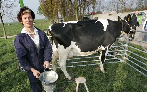 Minister Verburg is voorstander van eenmalige drukjacht op de Veluwe. Foto ANP