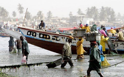 DAKAR – Senegalese vissers lossen hun prauwen. De houten vaartuigen moeten binnen enkele jaren worden vervangen door boten van glasvezel, eist de Europese Unie. De EU gaat namelijk strengere regels opleggen voor de hygiëne en de traceerbaarheid van de vis