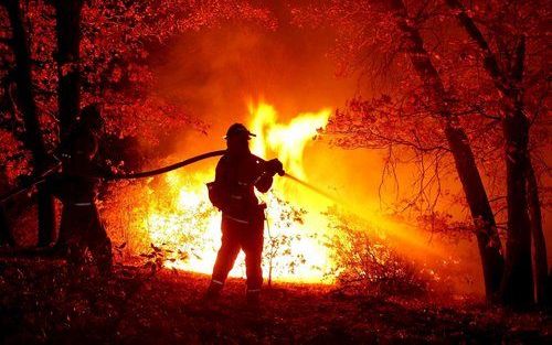 SALIDA - In Californië woeden nog steeds hevige bosbranden. Brandweer en burgers proberen te redden wat te redden valt. ER zijn al meer dan een half miljoen mensen op de vlucht geslagen. Foto EPA