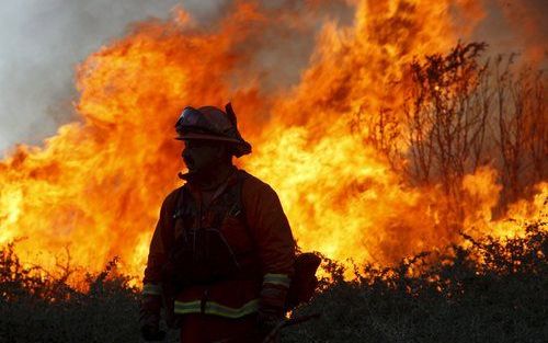 PALOMAR MOUNTIAN - Een brandweerman vecht tegen de vlammen in Californië. Foto EPA