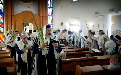 „De betekenis van het feest strekt zich kennelijk uit tot over de grenzen van Israël.” Foto: orthodoxe joden vieren het Loofhuttenfeest. Foto RD, Sjaak Verboom