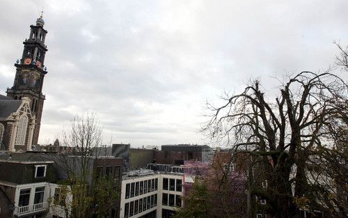 AMSTERDAM - De Anne Frankboom (r) aan de voet van de Westertoren in Amsterdam. Foto ANP