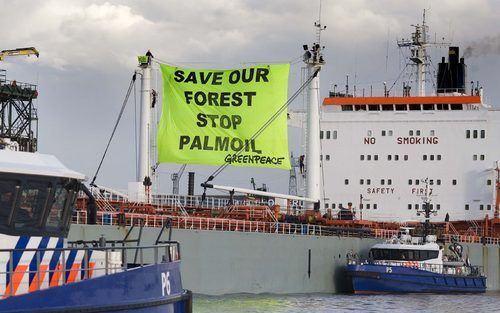 Actievoerders van Greenpeace hebben zich vrijdag op een tanker in de Rotterdamse haven vastgeketend aan containers. De organisatie wil met de actie het lossen van Indonesische palmolie aan boord van de tanker Doroussa voorkomen. Met zes rubberen speedboot