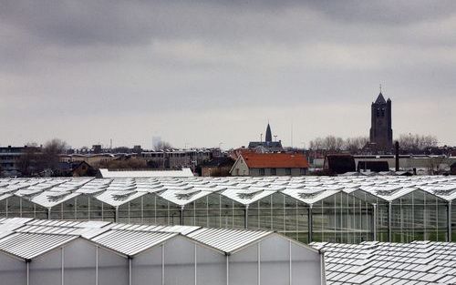 WESTLAND – Een derde van de 600 ondervraagde studenten uit het hoger en wetenschappelijk onderwijs geeft aan dat het Westland hen niets zegt. „Voor een carrière bij ambitieuze en interessante bedrijven moet je in deze regio niet zijn.” Foto ANP