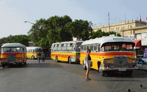 Een bezoek aan Malta is niet af zonder een rondrit met een van de vele bussen. Voor Maltezen een bezoeking, voor toeristen een hoogtepunt. - Foto RD