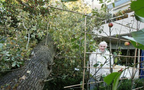 NUNSPEET - Cornelis Bergen bij de boom die op zorgcentrum De Veluwse Heuvels stortte. „Ik hoorde een doffe klap. M’n parkieten zijn er gelukkig goed doorgekomen.” - Foto RD,AntonDommerholt