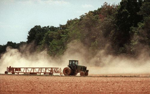 NEW YORK - Veruit het grootste deel van het landbouwareaal in de VS wordt nog gebruikt voor de reguliere landbouw, zoals op de foto. „Toch zie je langzaamaan dat steeds meer boeren overgaan op biologische teelt en tegelijkertijd zie je ook steeds meer con