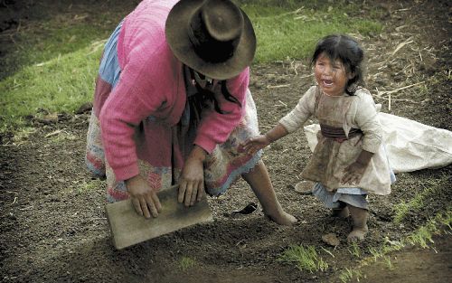 Primitieve landbouw in het dorpje Huayllay. Veel vrouwen in Peru raakten in de tijd van de strijd tussen de guerrilla Lichtend Pad en de regering hun man kwijt. De weduwen zijn gedwongen op het land te werken. De zorg voor hun kinderen schiet er dan vaak 