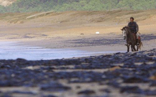 Een ruiter tuurt somber naar de olie op het strand bij La Coruna.