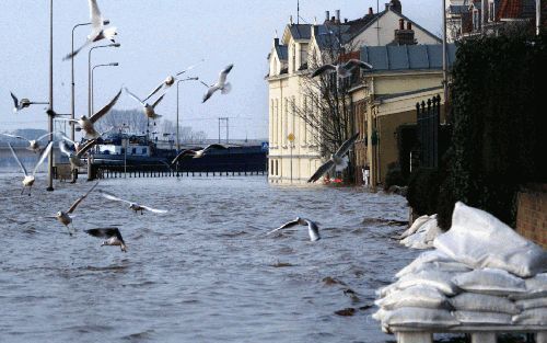 DEVENTER - Het water van de IJssel stroomt sinds dinsdag over de Wellekade in Deventer. De bewoners beschermen hun huizen met schotten en zandzakken. Woensdag bereikt het water in de IJssel zijn hoogste stand. - Foto ANP