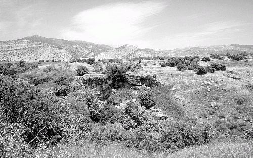 Het uitzicht over de Golan is prachtig. In de verte ligt het Hermongebergte, waarvan de kruin in de winter met sneeuw is bedekt. - Foto IsraÃ«lisch Bureau voor Toerisme