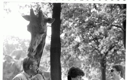 In haar privÃ©-album bewaart prinses Margriet deze foto uit een serie die zij met haar gezin in Burgers’ Dierenpark te Arnhem voor publicatie liet maken; v.l.n.r. mr. Pieter van Vollenhoven, de prinsen Bernhard en Floris, prinses Margriet, en de prinsen P