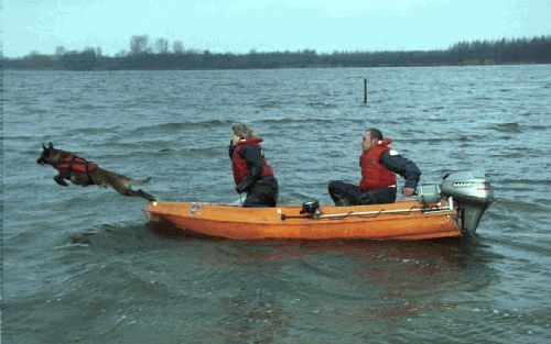 NIJKERK - Op het Nuldernauw bij Nijkerk springt een speurhond uit de boot van Matthijs Bax en Esther van Neerbos. Samen met Fons Bakker en Frank RemmÃ© zet het team zich in bij vermissingszaken. - Foto John Nispeling