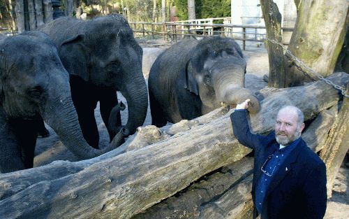 AMERSFOORT - Hoofd dierenverzorging Mario Hoedemaker van Dierenpark Amersfoort noemt het ongeval dat zich dinsdag in Safaripark de Beekse Bergen in Tilburg voordeed een schok voor alle dierentuinen in Nederland. - Foto RD, Anton Dommerholt