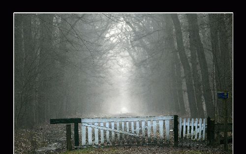 Landgoed De Ennemaborg in het Groningse Midwolda ontwaakt uit zijn winterslaap. - Foto RD, Sjaak Verboom