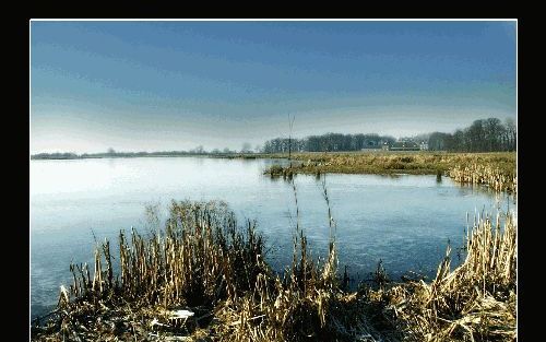 Natuurgebied Rijnsteeg net buiten Amerongen. - Foto RD, Sjaak Verboom